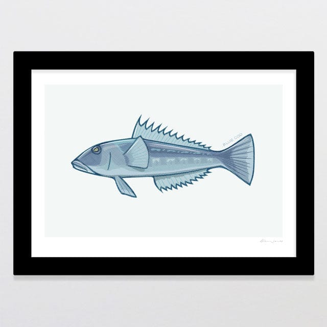 Glenn Jones Art Blue Cod Art Print Art Print A4 / Black