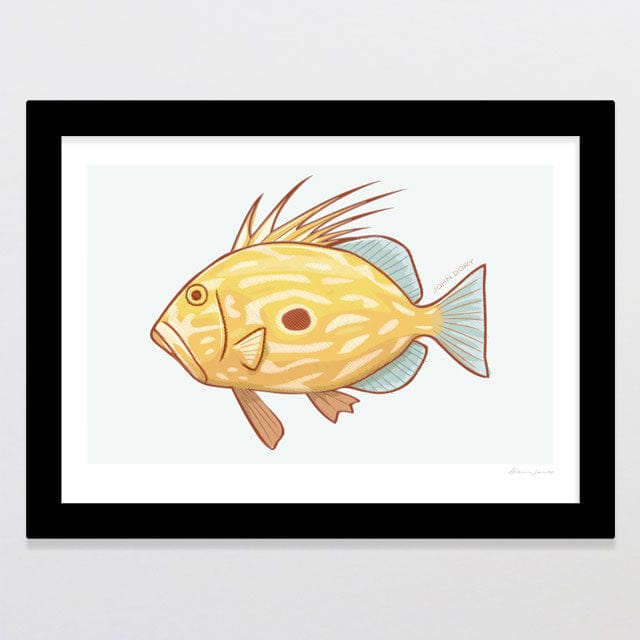 Glenn Jones Art John Dory Art Print Art Print A4 / Black