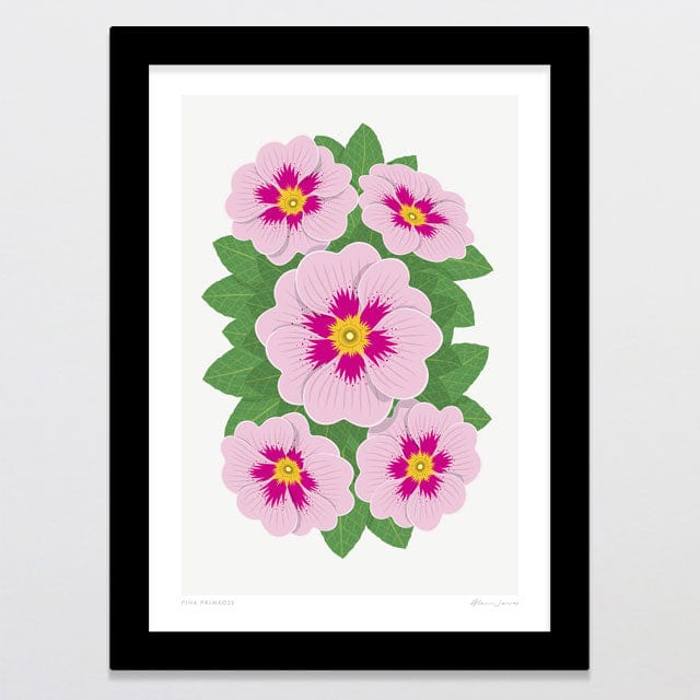 Glenn Jones Art Pink Primrose Art Print Art Print A4 / Black