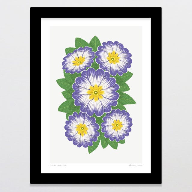 Glenn Jones Art Violet Primrose Art Print Art Print A4 / Black