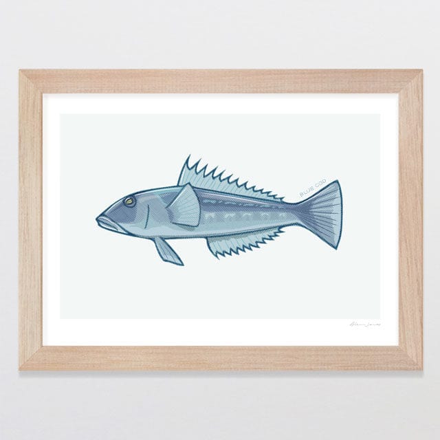 Glenn Jones Art Blue Cod Art Print Art Print A4 / Oak