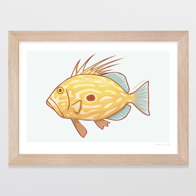 Glenn Jones Art John Dory Art Print Art Print A4 / Oak