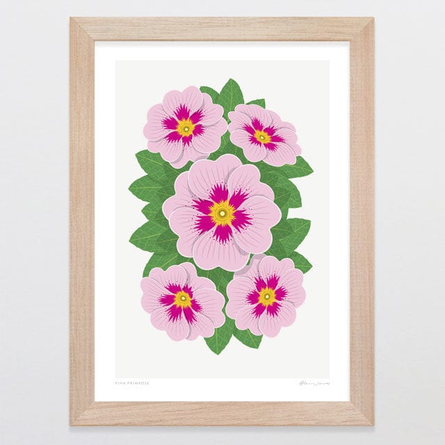 Glenn Jones Art Pink Primrose Art Print Art Print A4 / Oak