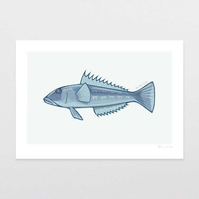 Glenn Jones Art Blue Cod Art Print Art Print A4 / Unframed