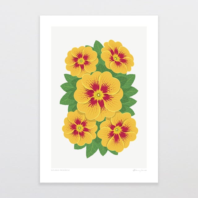 Glenn Jones Art Golden Primrose Art Print Art Print A4 / Unframed