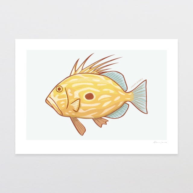 Glenn Jones Art John Dory Art Print Art Print A4 / Unframed