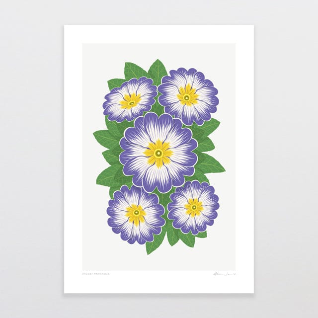 Glenn Jones Art Violet Primrose Art Print Art Print A4 / Unframed