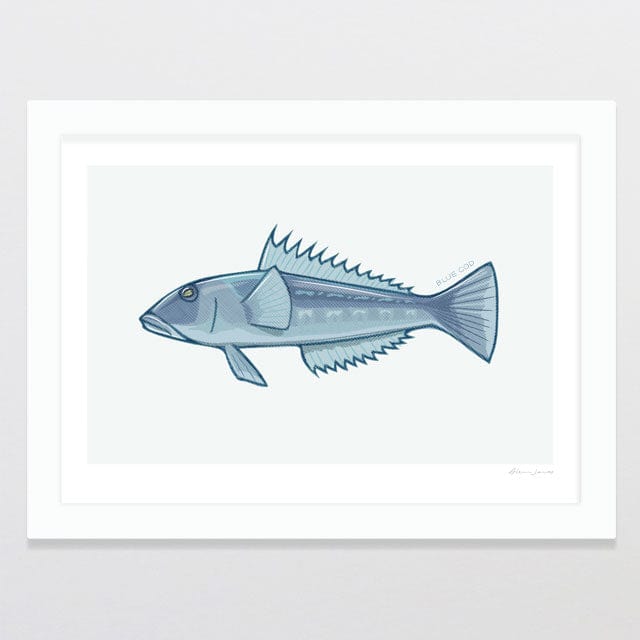 Glenn Jones Art Blue Cod Art Print Art Print A4 / White