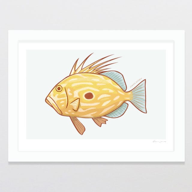 Glenn Jones Art John Dory Art Print Art Print A4 / White