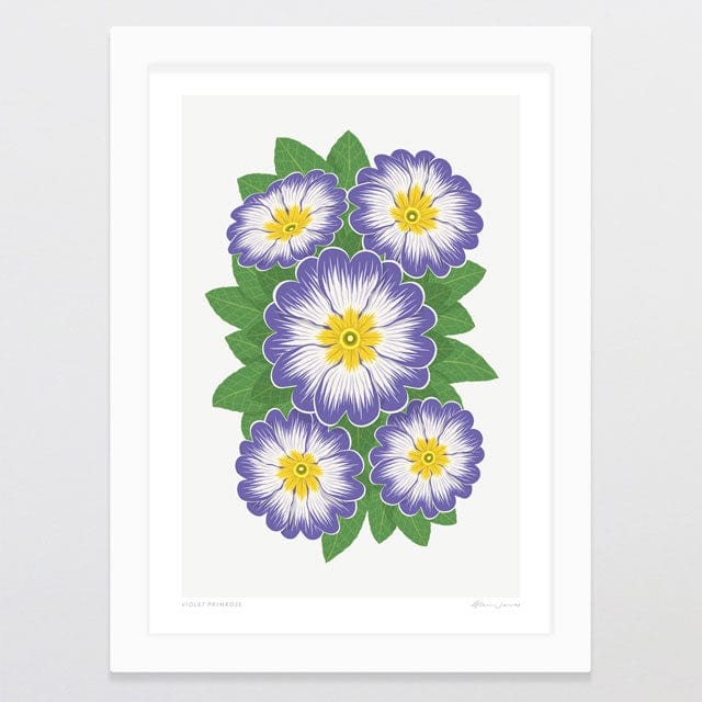 Glenn Jones Art Violet Primrose Art Print Art Print A4 / White