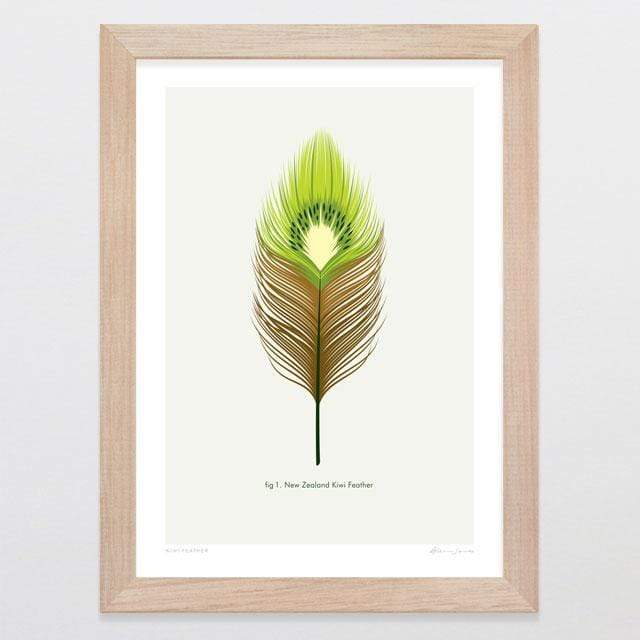 Kiwi Feather Art Print - Glenn Jones Art